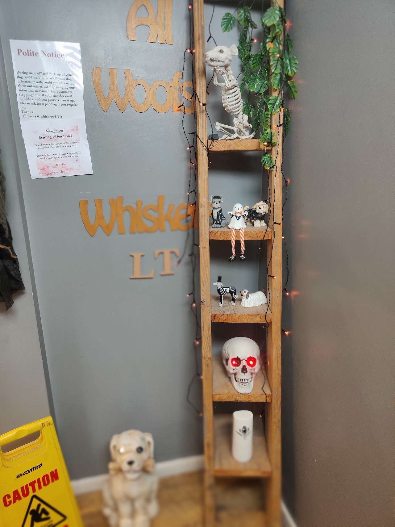 All Woofs n Whiskers (Pet Groomers) — photo