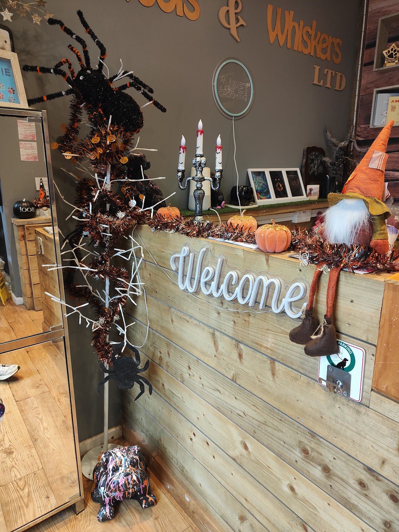 All Woofs n Whiskers (Pet Groomers) — photo