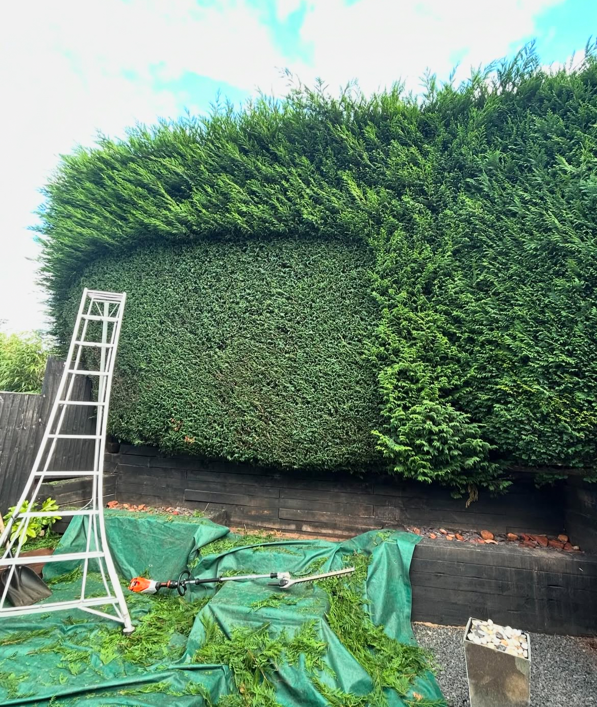 JLH Tree & Hedge — photo