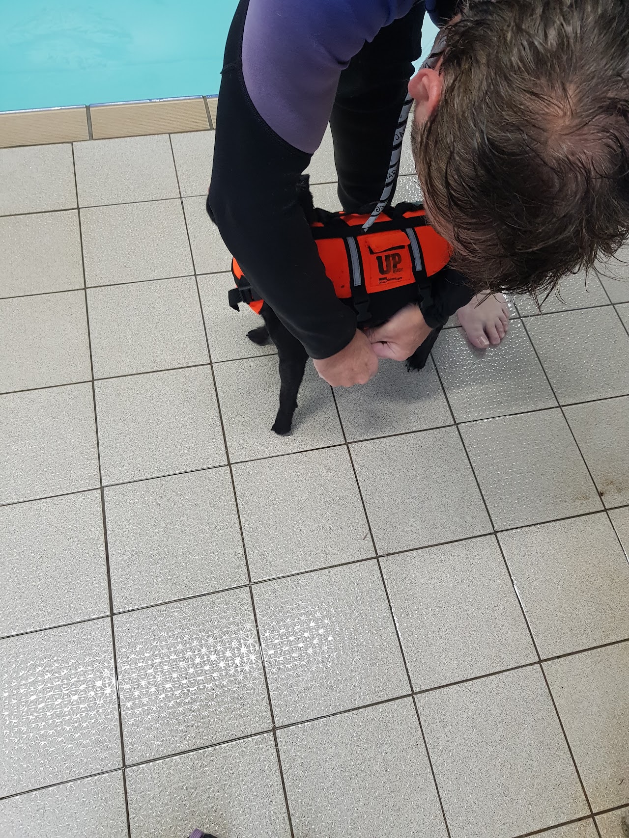 K9 Spa Hydrotherapy Centre — photo