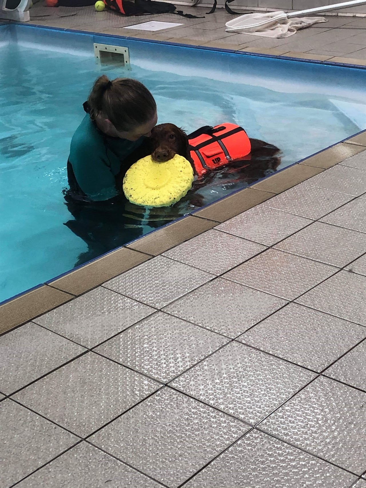 K9 Spa Hydrotherapy Centre